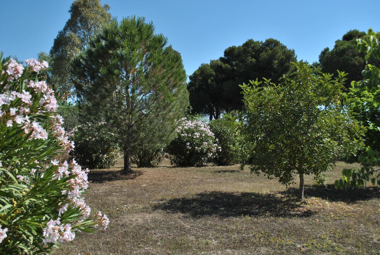 B&B Ginevra Pulsano Exterior foto